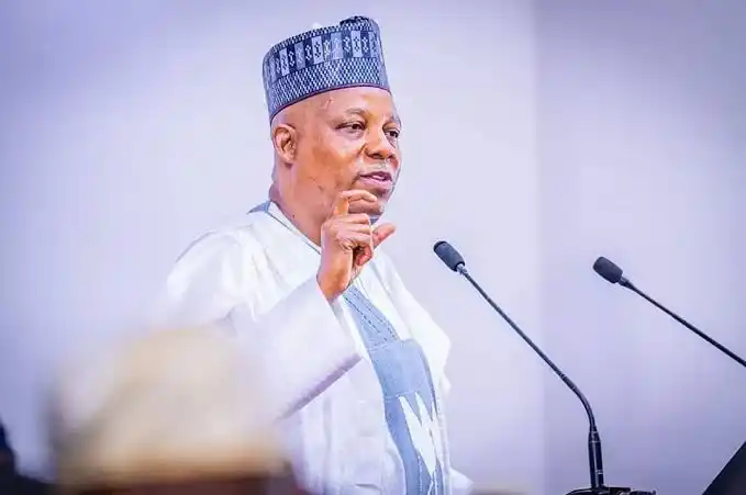 Nigeria as woke up from slumber and poised to move the world – Shettima  tells World Leaders